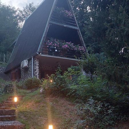 Holiday Home Dragonfly River House On Korana Near Plitvice And Mreznica Barilovic Exteriör bild