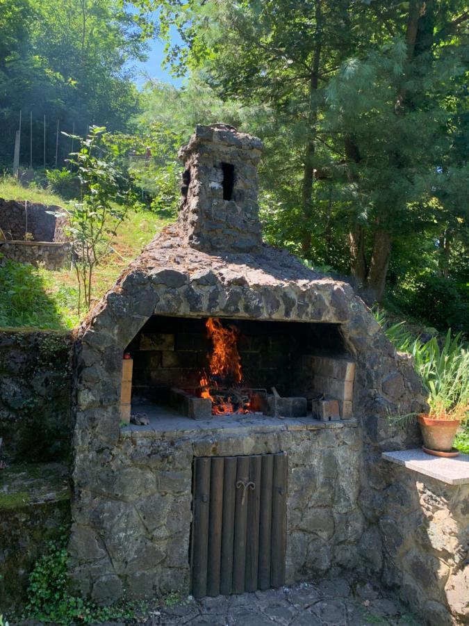Holiday Home Dragonfly River House On Korana Near Plitvice And Mreznica Barilovic Exteriör bild